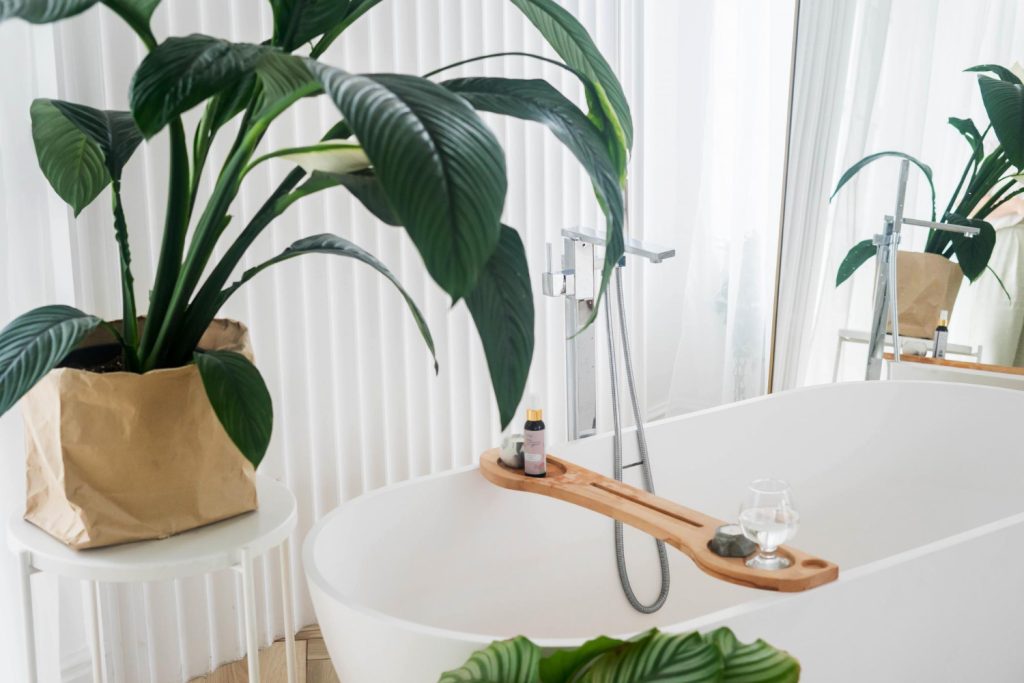 Μπάνιο που μοιάζει με πολυτελές σπα. Άσπρη μπανιέρα δίπλα από την οποία υπάρχει μια γλάστρα με ένα μεγάλο πράσινο φυτό.